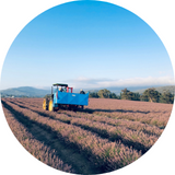 可持续农业实践