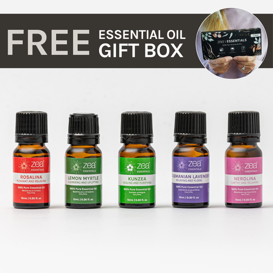 畅销玉米精华系列