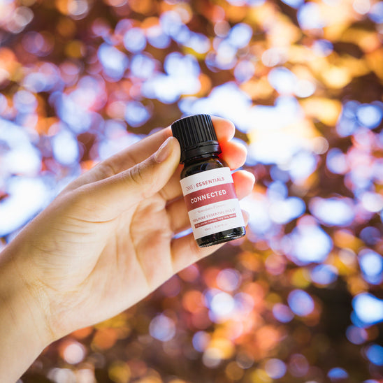 Connected Lifestyle Blend