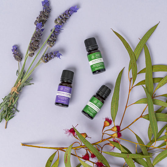 传统澳洲精华三重奏